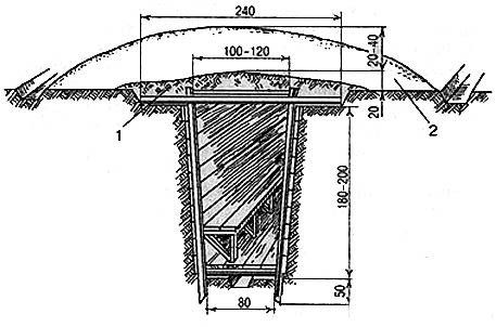 Погреб-щель (размеры даны в сантиметрах)